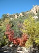 photo thumbnail #10