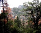photo thumbnail #9