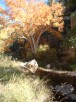 photo thumbnail #10
