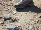 photo thumbnail #4