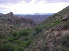 photo thumbnail #3