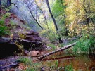 photo thumbnail #6