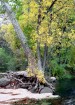photo thumbnail #13