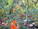 photo thumbnail #15