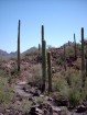 photo thumbnail #4