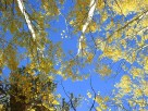 photo thumbnail #12