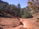 photo thumbnail #2