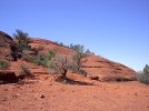 photo thumbnail #11