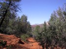 photo thumbnail #12