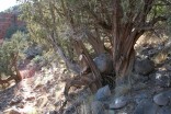 photo thumbnail #4
