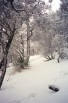 photo thumbnail #14