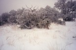 photo thumbnail #15