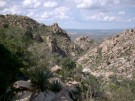 photo thumbnail #5