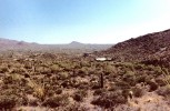 photo thumbnail #7