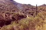 photo thumbnail #8