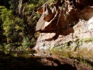 photo thumbnail #5