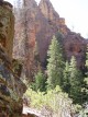 photo thumbnail #10