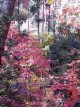 photo thumbnail #11