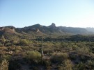 photo thumbnail #3