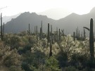 photo thumbnail #4