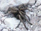 photo thumbnail #10