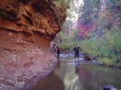 photo thumbnail #4