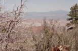 photo thumbnail #14