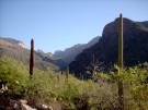 photo thumbnail #1