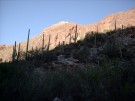 photo thumbnail #2