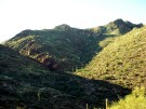 photo thumbnail #13