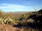 photo thumbnail #14