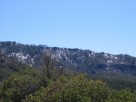 recent photo