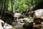 photo thumbnail #2