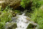 photo thumbnail #8