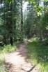 photo thumbnail #10