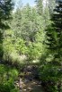 photo thumbnail #11