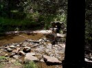 photo thumbnail #6
