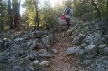 photo thumbnail #13