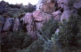 photo thumbnail #8
