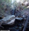 photo thumbnail #6