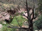 photo thumbnail #1