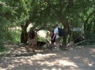 photo thumbnail #3