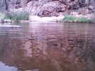 photo thumbnail #4