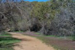 photo thumbnail #4