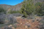photo thumbnail #6