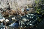 photo thumbnail #9