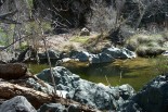 photo thumbnail #10