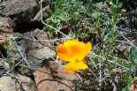 photo thumbnail #11