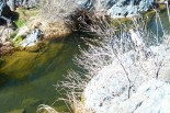 photo thumbnail #14