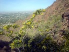 photo thumbnail #4